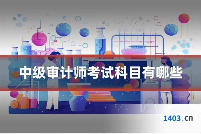 中级审计师考试科目有哪些