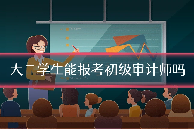 大二学生能报考初级审计师吗