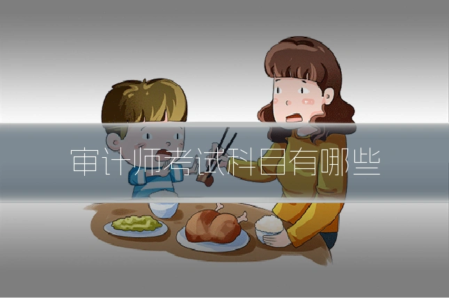 审计师考试科目有哪些
