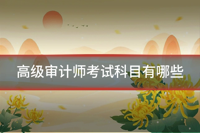 高级审计师考试科目有哪些