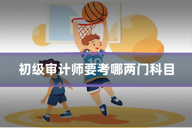 初级审计师要考哪两门科目