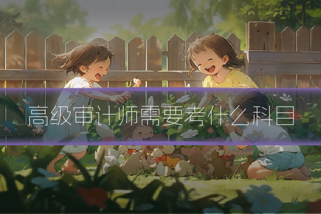 高级审计师需要考什么科目