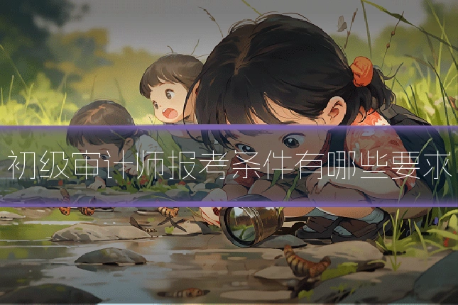 初级审计师报考条件有哪些要求