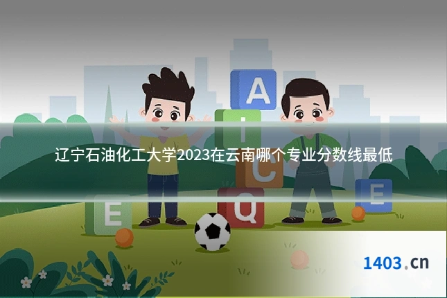 辽宁石油化工大学2023在云南哪个专业分数线最低