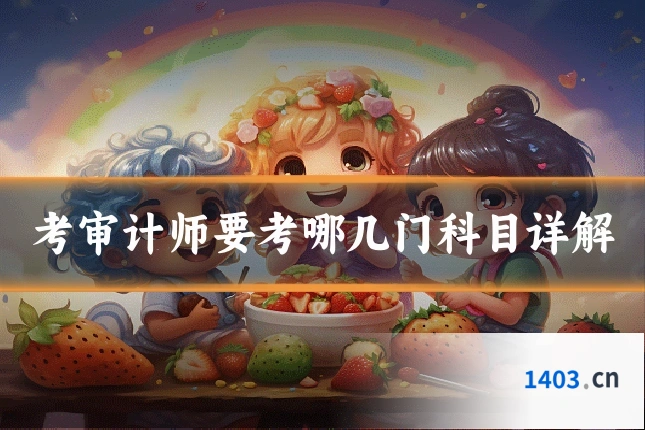 考审计师要考哪几门科目详解