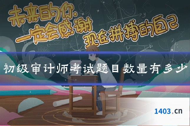 初级审计师考试题目数量有多少