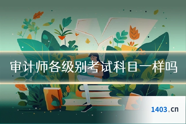 审计师各级别考试科目一样吗