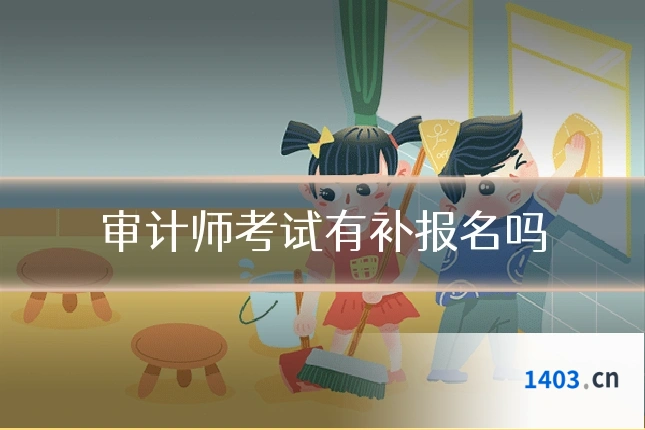 审计师考试有补报名吗