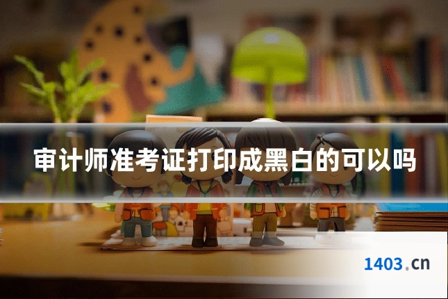 审计师准考证打印成黑白的可以吗
