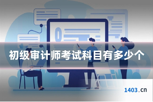 初级审计师考试科目有多少个