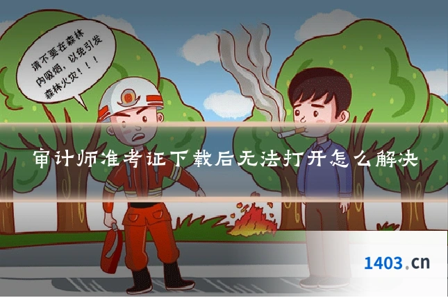 审计师准考证下载后无法打开怎么解决