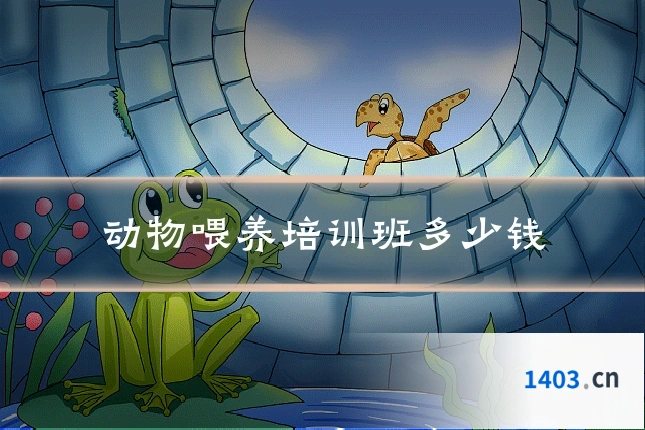 动物喂养培训班多少钱