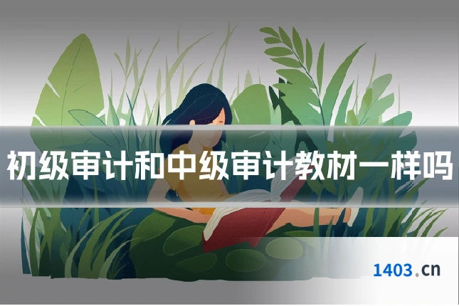 初级审计和中级审计教材一样吗
