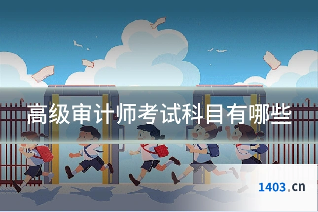高级审计师考试科目有哪些