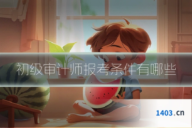 初级审计师报考条件有哪些