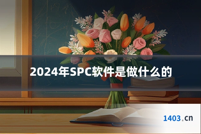 2024年SPC软件是做什么的