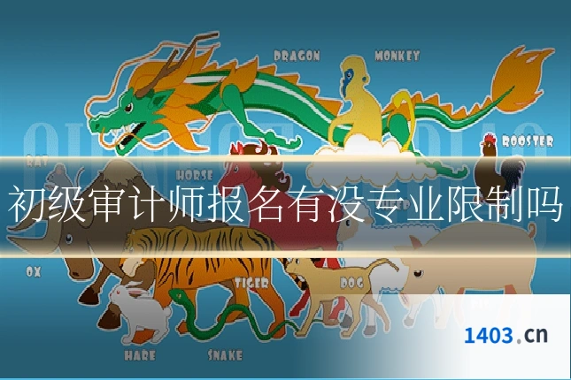 初级审计师报名有没专业限制吗