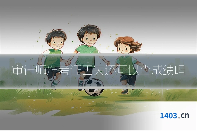 审计师准考证丢失还可以查成绩吗