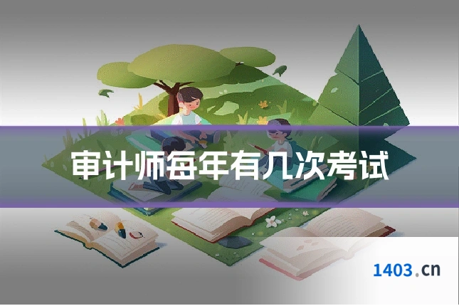 审计师每年有几次考试