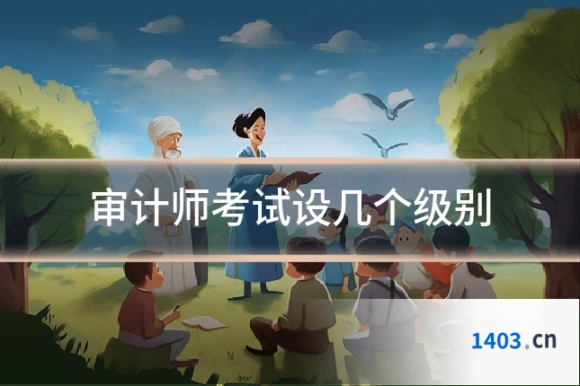 审计师考试设几个级别