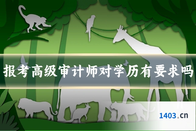 报考高级审计师对学历有要求吗
