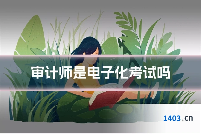 审计师是电子化考试吗