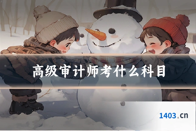 高级审计师考什么科目