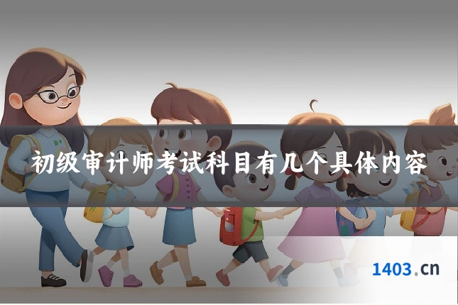 初级审计师考试科目有几个具体内容
