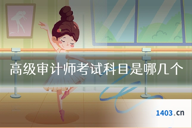 高级审计师考试科目是哪几个
