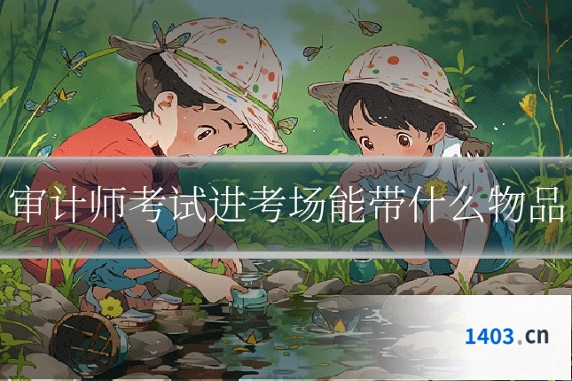 审计师考试进考场能带什么物品