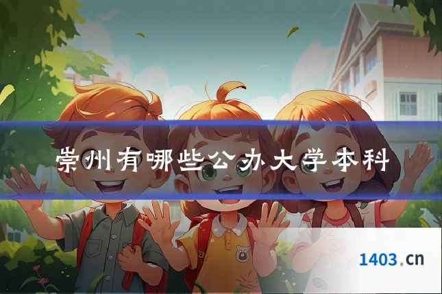崇州有哪些公办大学本科