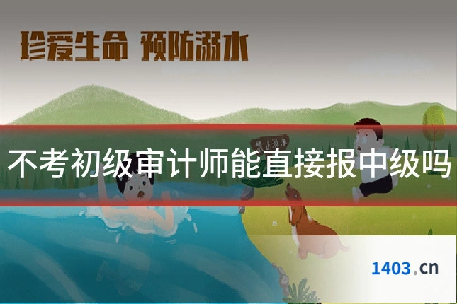 不考初级审计师能直接报中级吗