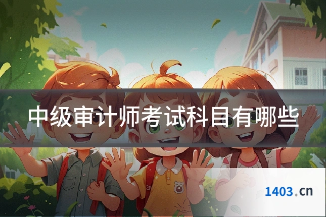 中级审计师考试科目有哪些