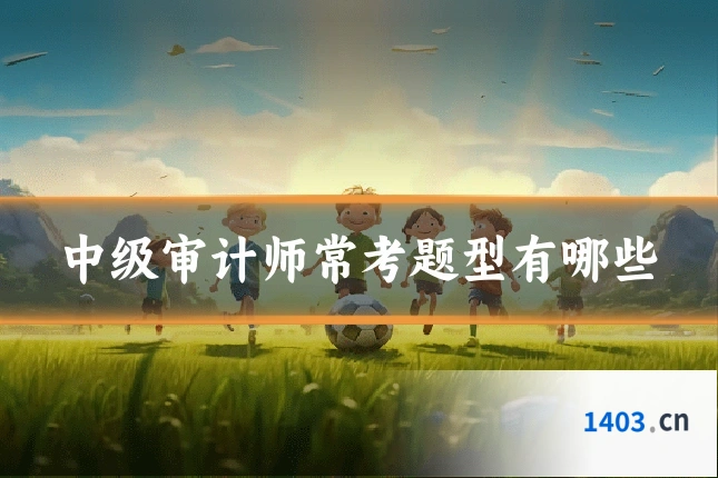 中级审计师常考题型有哪些