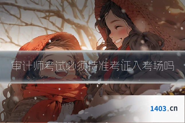 审计师考试必须持准考证入考场吗