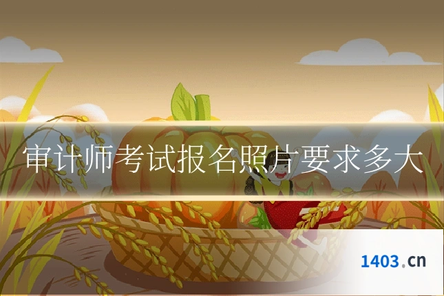 审计师考试报名照片要求多大