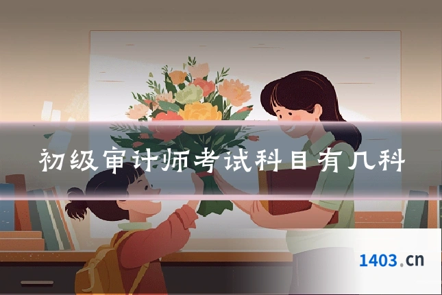 初级审计师考试科目有几科