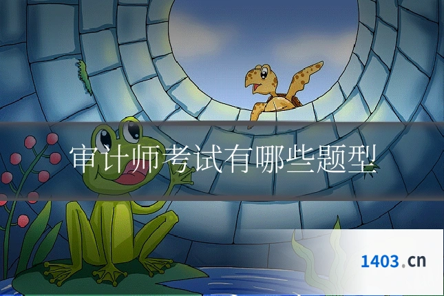 审计师考试有哪些题型
