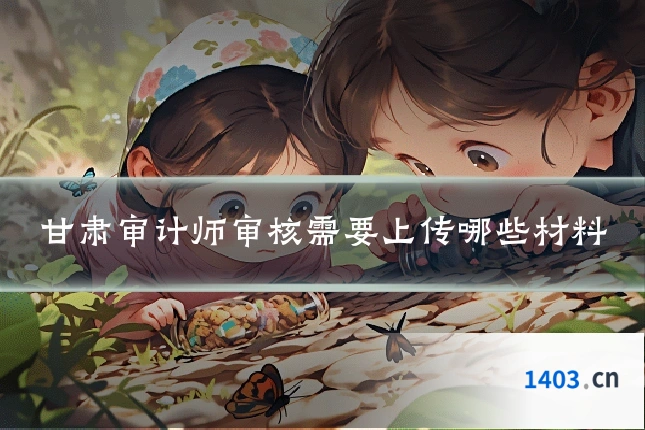 甘肃审计师审核需要上传哪些材料