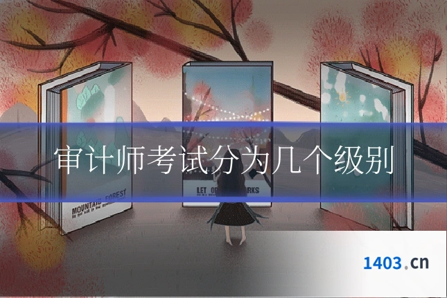 审计师考试分为几个级别