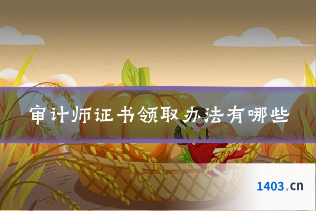 审计师证书领取办法有哪些