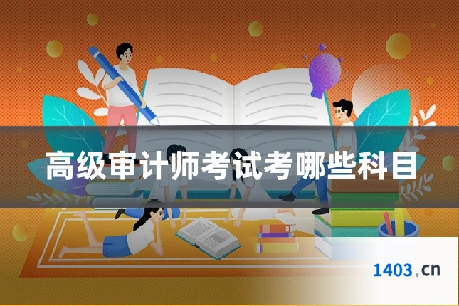 高级审计师考试考哪些科目