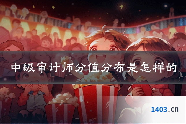 中级审计师分值分布是怎样的