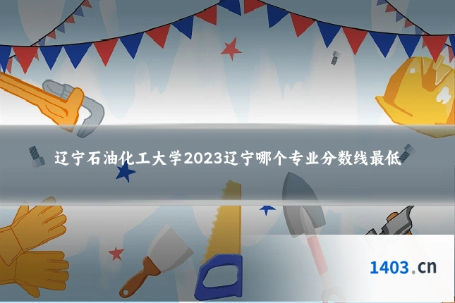 辽宁石油化工大学2023辽宁哪个专业分数线最低