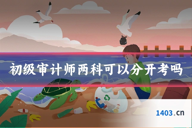 初级审计师两科可以分开考吗