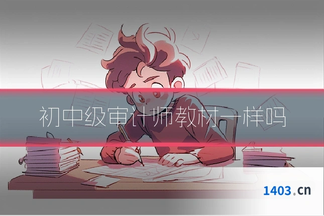 初中级审计师教材一样吗