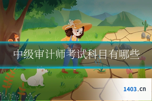 中级审计师考试科目有哪些