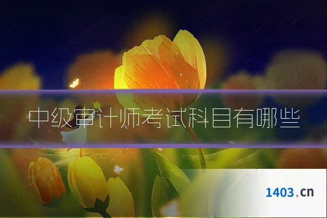中级审计师考试科目有哪些