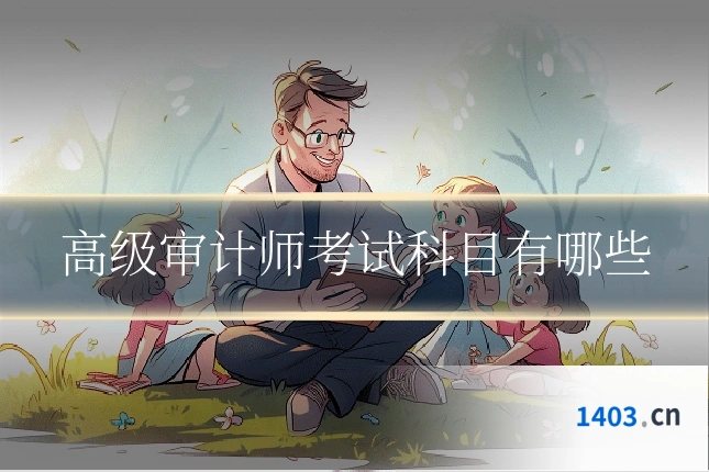 高级审计师考试科目有哪些