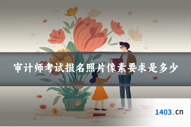 审计师考试报名照片像素要求是多少